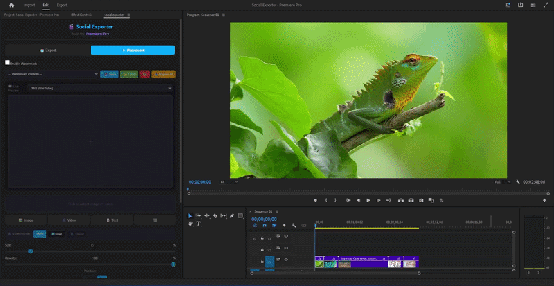 Five independent watermark layers in Social Exporter