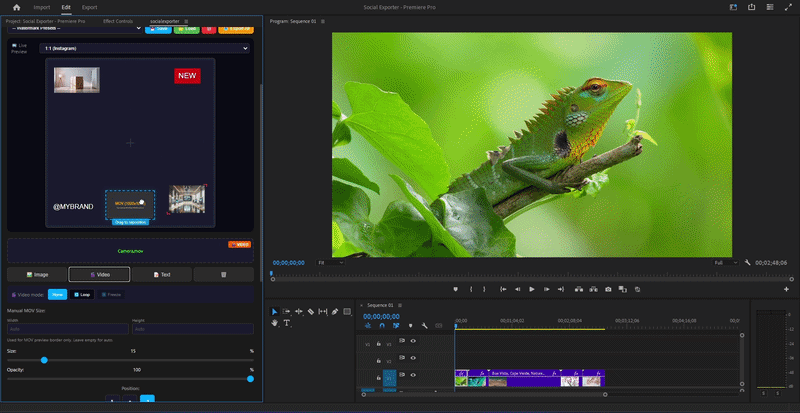 Multi-watermark controls in Social Exporter