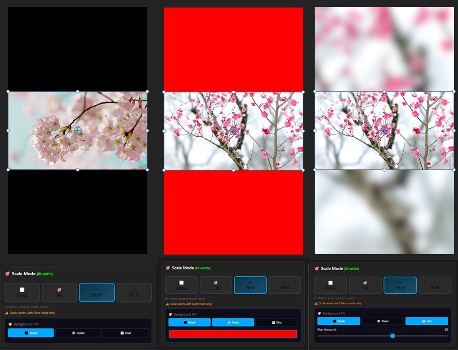 Social Exporter background fill preview