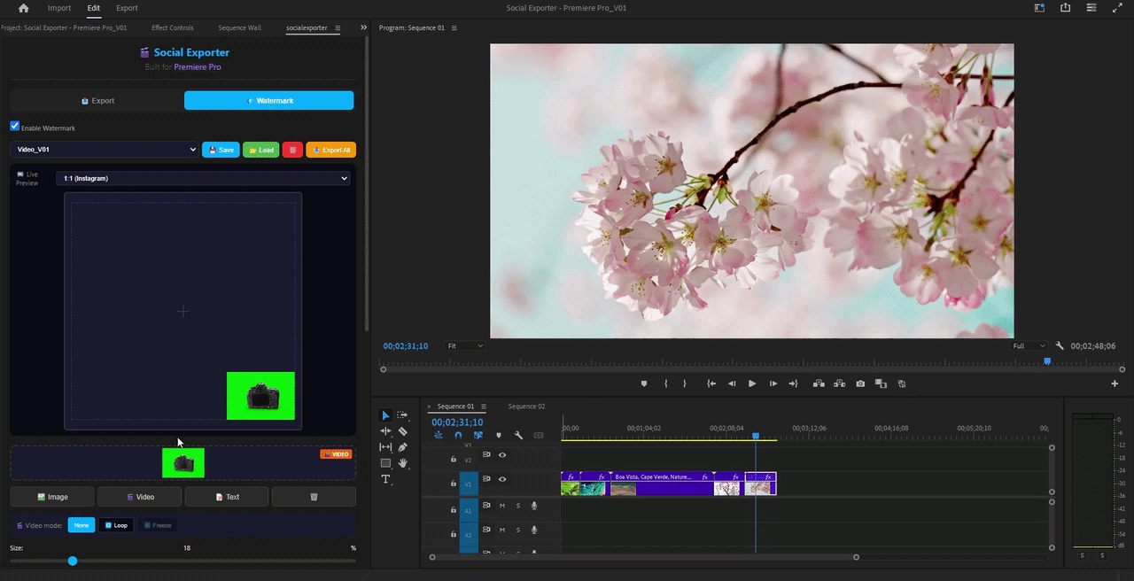 Video watermark repeat mode